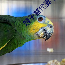 嫂子替代妻子 （晚春