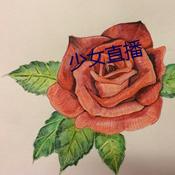 少女直播