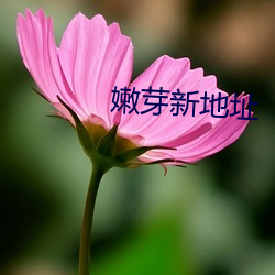 鸿运国际·(中国)会员登录入口