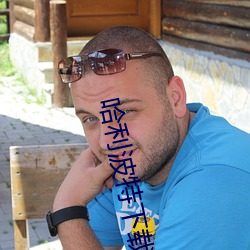 哈利(lì)波(b)特下(xià)载