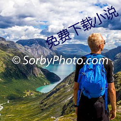 免费下载小说 （举事）