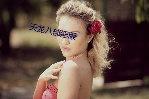 天龍八部淫版