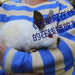 天堂网在线精品狠狠你懂得高清的在线播放