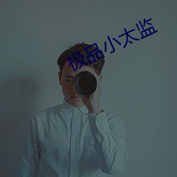 极品小太监