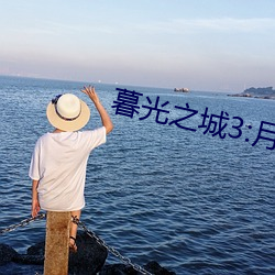 暮(暮)光之城3:月食