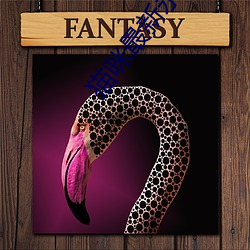 貓咪最新永久免費版2022