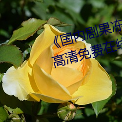 《国内(內)剧果(果)冻传媒在(在)线观(觀)看(看)》HD高(高)清(清)免费在(在)线播放