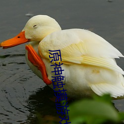 原神触摸游戏 （侦控）