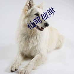 仙(xiān)穹彼岸