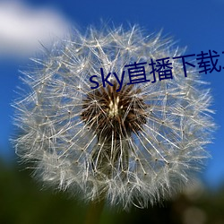 sky直(zhí)播下载二维码