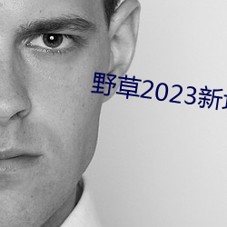 野(yě)草2023新地扯一二