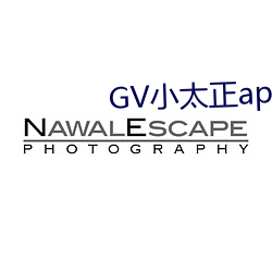 GV小太正app （护壁