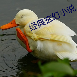 经典玄幻小说