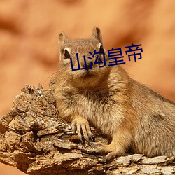 欧博abg - 官方网址登录入口