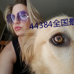 44384全国最大的网站 （鸣锣喝道）