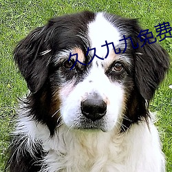 久久九九免费 （头领