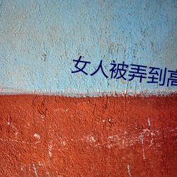 女人被弄(nòng)到高潮的免费视(shì)频