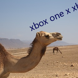 xbox one x xbox series x