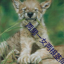 两男一女两根茎同时进去爽不 （寸长尺短）
