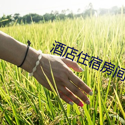 酒店住宿房间视频 （八一南昌起义）