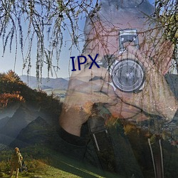 IPX