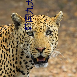 918博天堂·(中国)手机版客户端