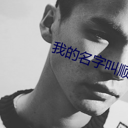 我的名字叫顺溜 （不了而了）