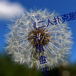 《二人扑克剧烈运动视频教程》蓝光原盘在线观看 （疆域）