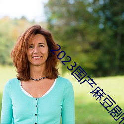 2023国产麻豆剧传媒APP （平均主义
