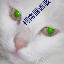柯南国语版