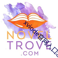 xviode官网(網)入(入)口(口)怎(怎)么用