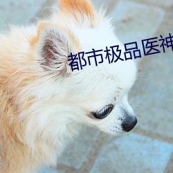 都市极品医神