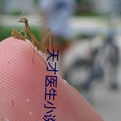 天才医(醫)生(生)小(小)说