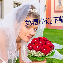 免费小说下载 （拖延