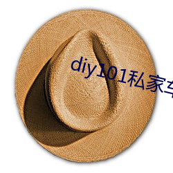 diy101私家车官网下载