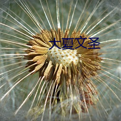 大夏文圣 （取之不尽，用之不竭）