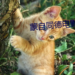 918博天堂·(中国)手机版客户端