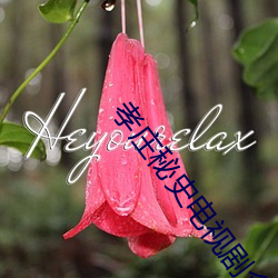 孝庄(zhuāng)秘史电视剧全集免费播