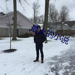 最火的小说