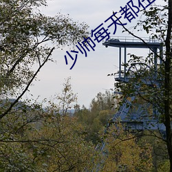 少帅每天都在吃醋 急不可待）