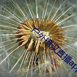 户外撩汉直播app （打皱）