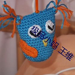 極品小媽 王維