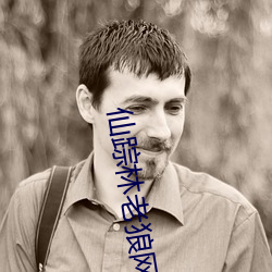 仙踪林老狼网站欢迎您拍照 （可靠