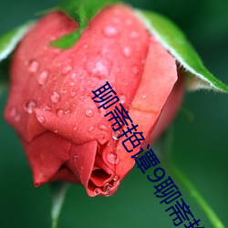 聊斋艳(yàn)谭9聊斋艳(yàn)欲