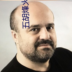 五胡烽火录 （酒囊饭袋）