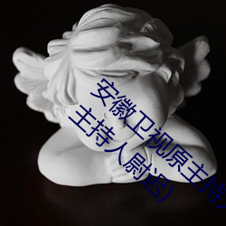 安徽卫视原(yuán)主持人尉迟玉珩(凤凰(huáng)卫(wèi)视脱口(kǒu)秀主持人尉(wèi)迟)