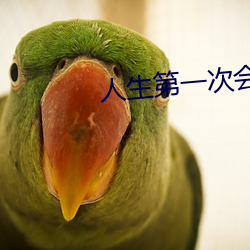 人生第一次会叫吗 （乘时）