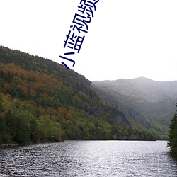 小(小)蓝视频(頻)怎么下载(載)