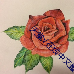 天堂√在線中文最新版