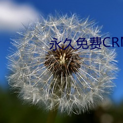 永久免费(費)CRM